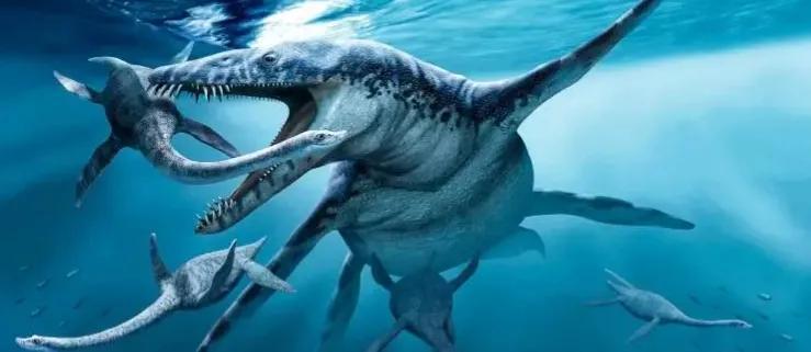 海洋十大霸主排名