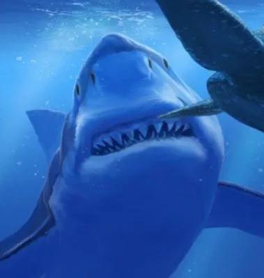 海洋十大霸主排名