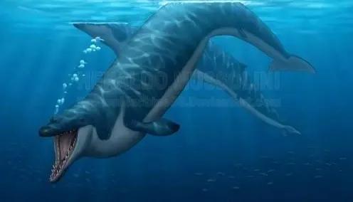 海洋十大霸主排名