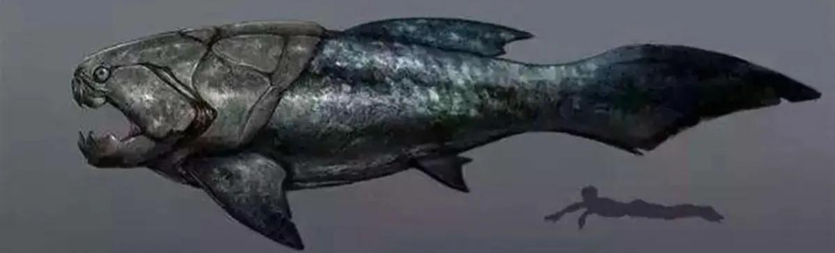 海洋十大霸主排名