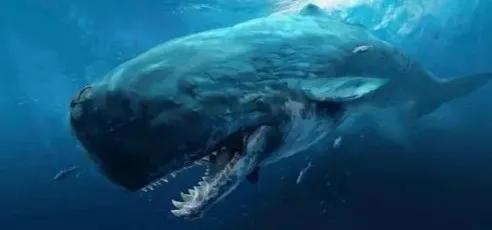 海洋十大霸主排名