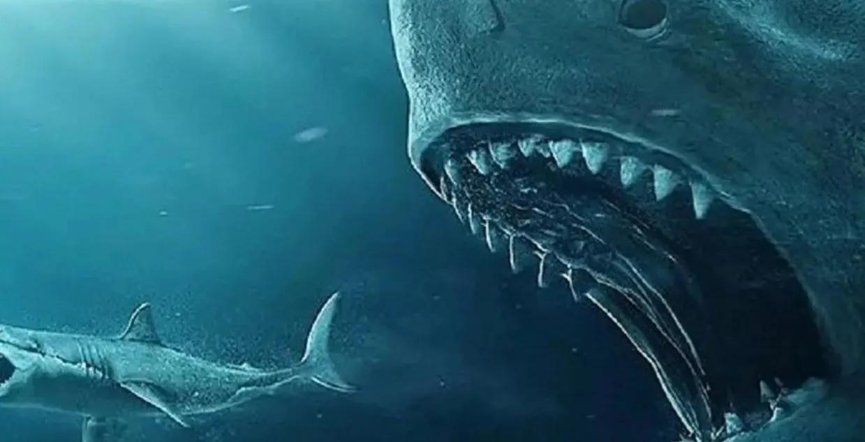 海洋十大霸主排名