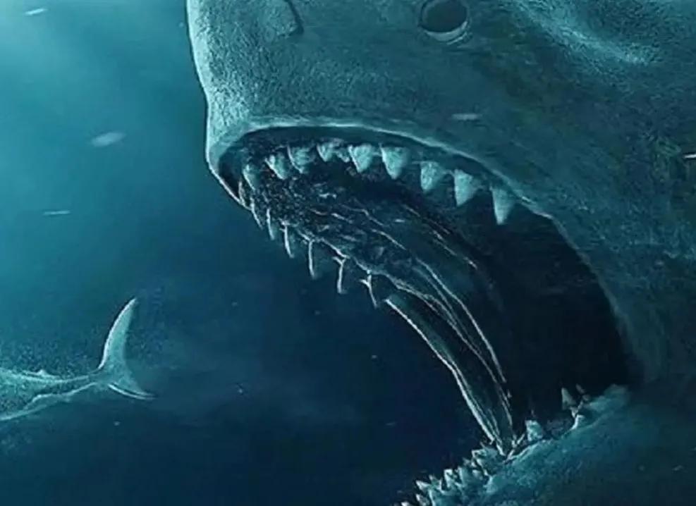 海洋十大霸主排名