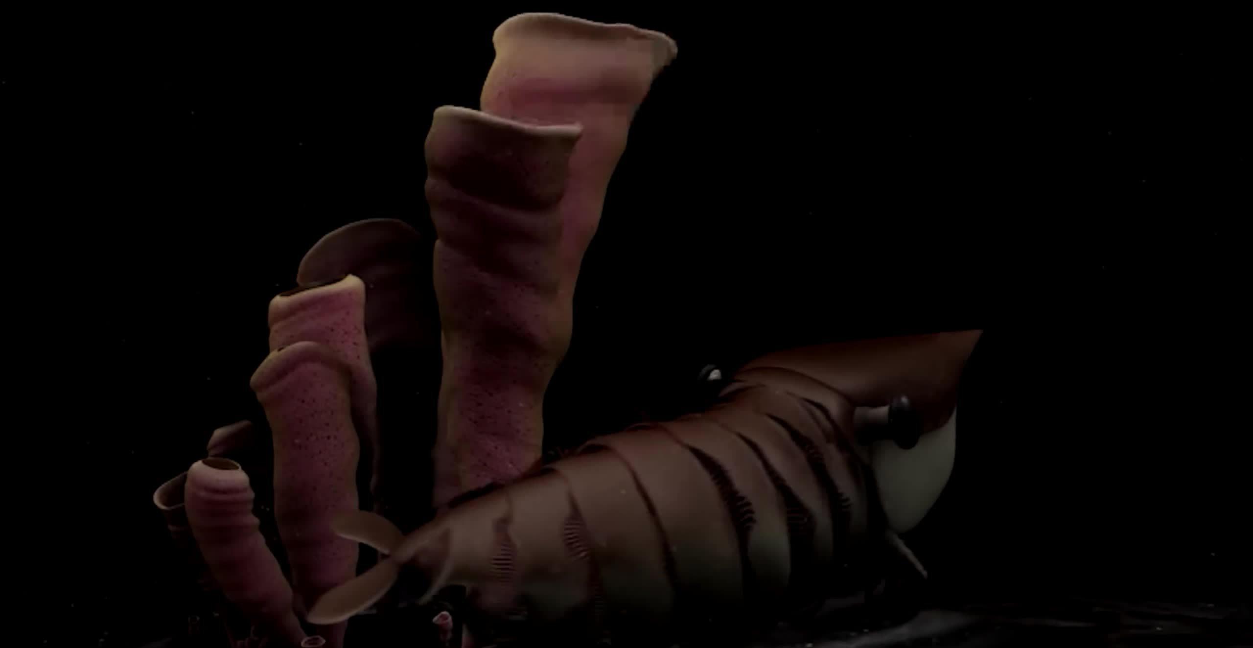 寒武纪恐怖海洋生物