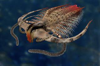 寒武纪恐怖海洋生物