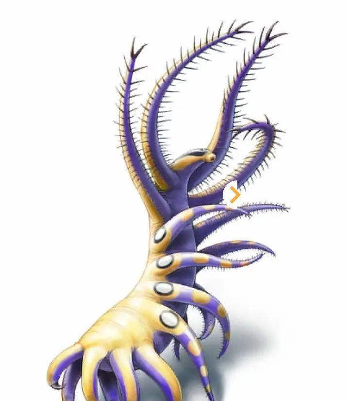 寒武纪恐怖海洋生物