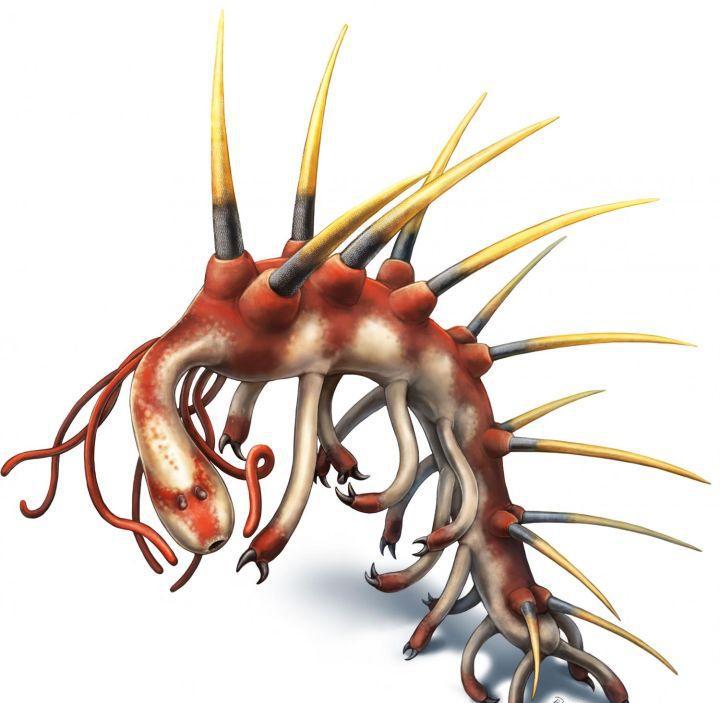 寒武纪恐怖海洋生物