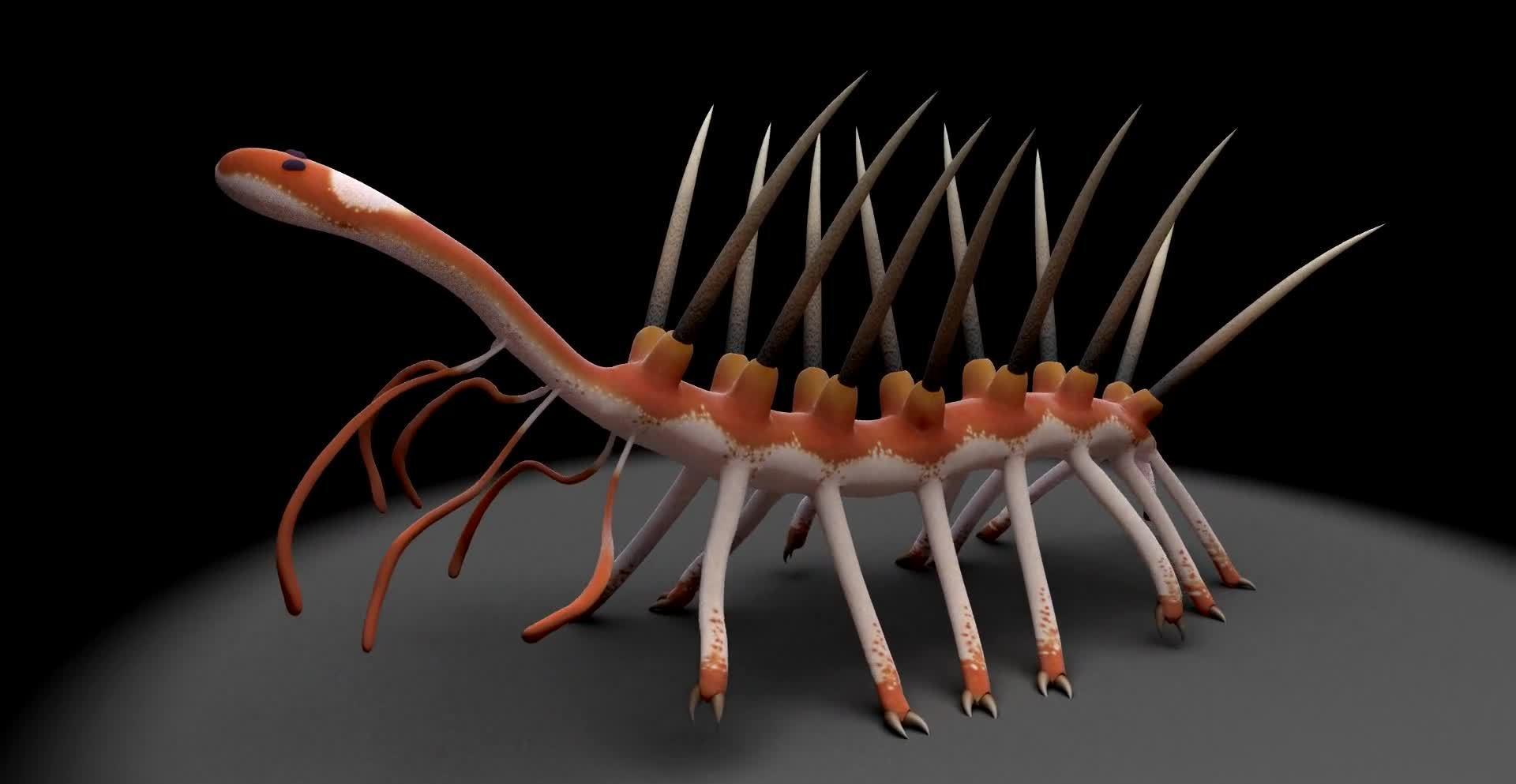 寒武纪恐怖海洋生物