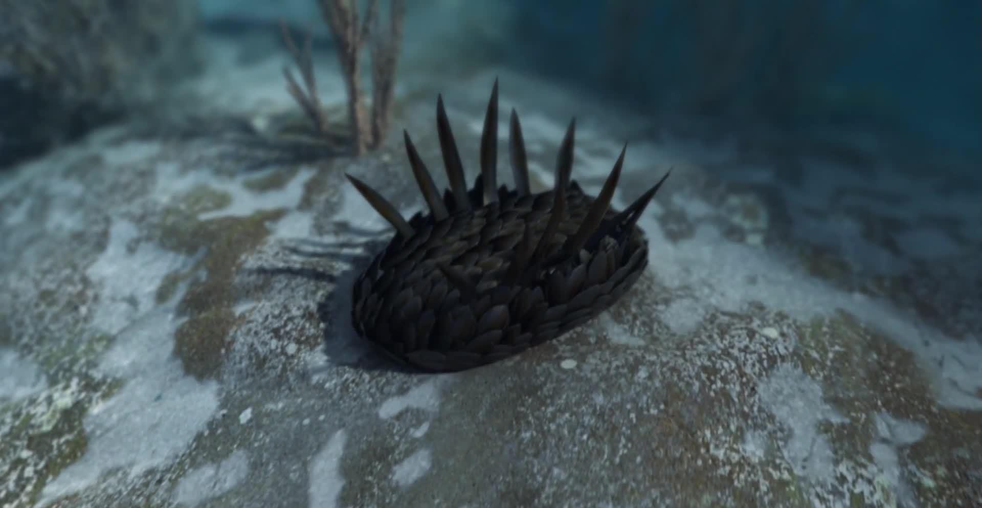 寒武纪恐怖海洋生物