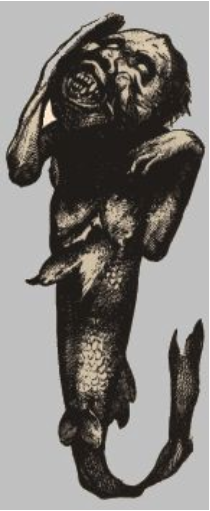 最恐怖的美人鱼长什么样子