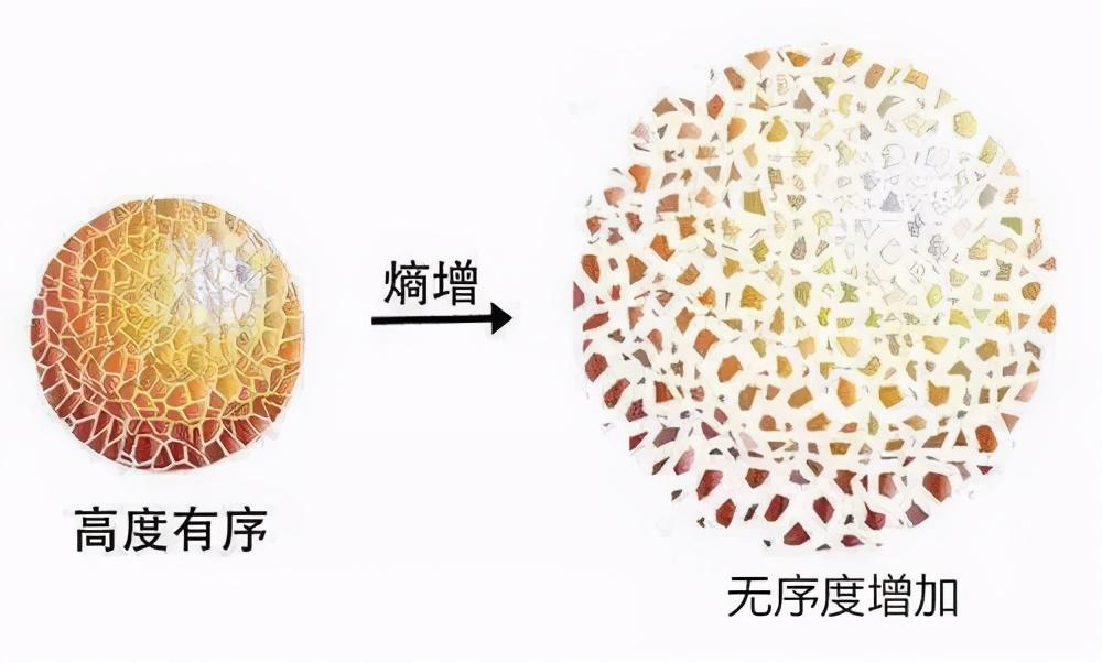 万物归于熵增什么意思