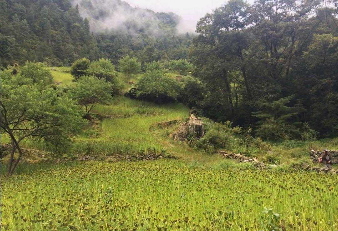 夏尔巴人是什么民族特色