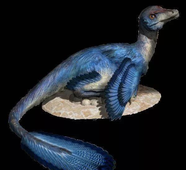 恐龙中什么恐龙最厉害