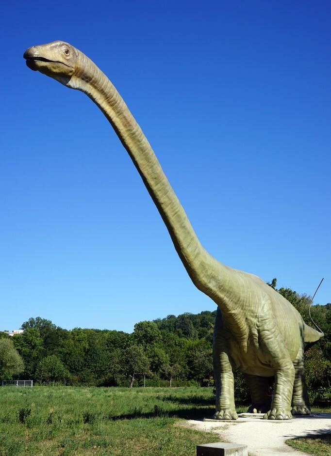 恐龙中什么恐龙最厉害