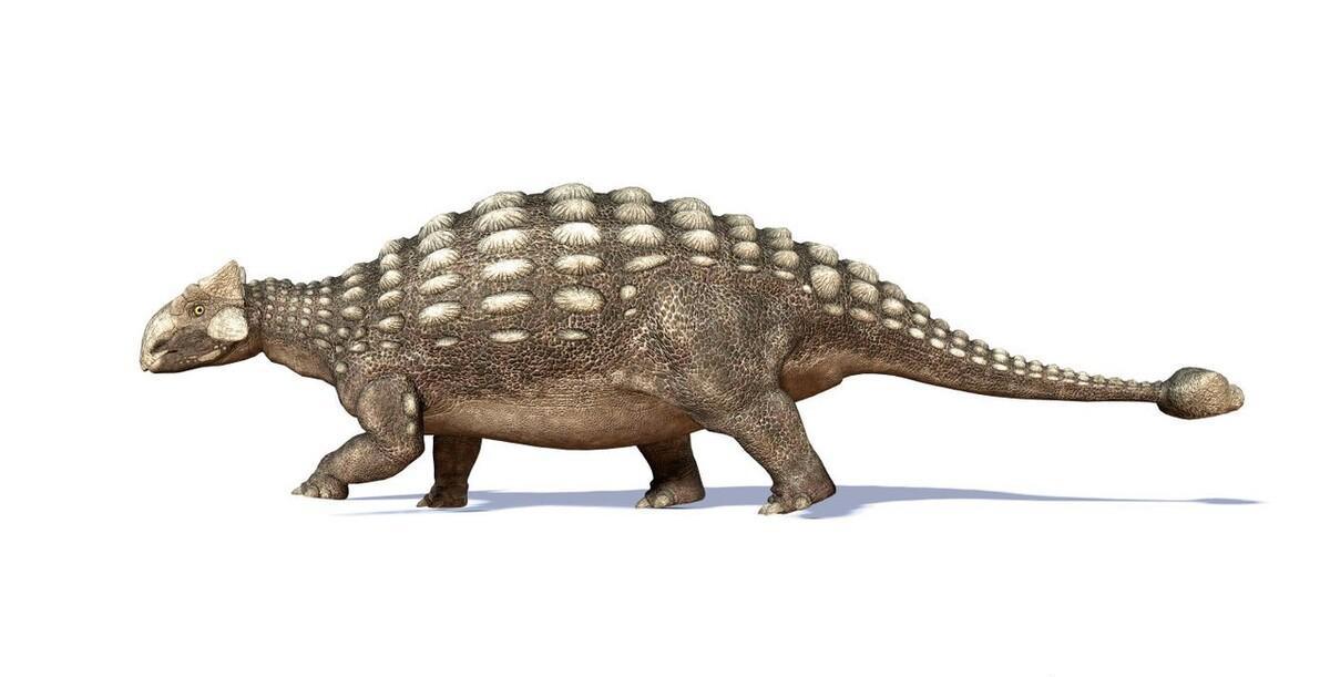 恐龙中什么恐龙最厉害