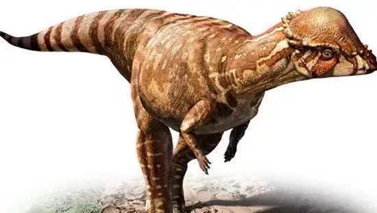 恐龙中什么恐龙最厉害