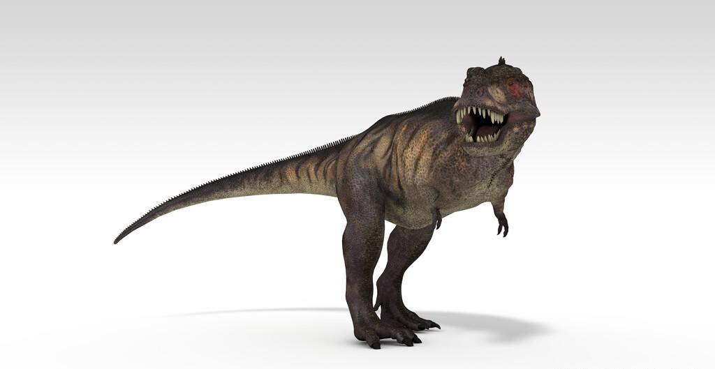 恐龙中什么恐龙最厉害