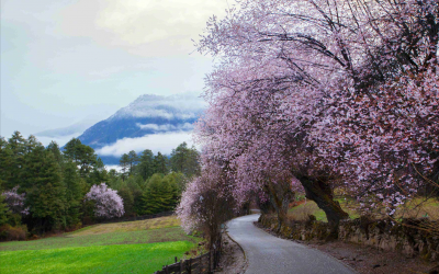 桃花源记为什么恐怖 桃花源记描绘的并非人间仙境吗
