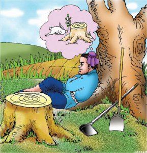 守株待兔告诉我们的道理是什么 守株待兔给人们的启示