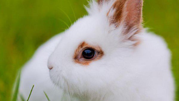 守株待兔告诉我们的道理是什么