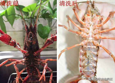 清理小龙虾的方法步骤图解 小龙虾怎么才能清洗干净