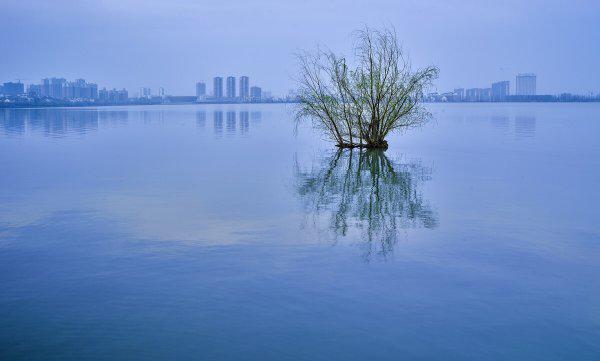 钟祥市属于哪个省份的城市