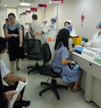 陈薇薇简介及个人资料