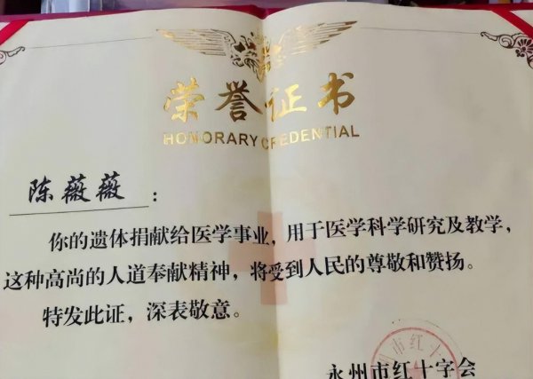 陈薇薇简介及个人资料