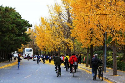 世界顶级大学前十名 全球十大知名大学院校排行榜