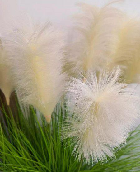 哈耶克最著名的一句话