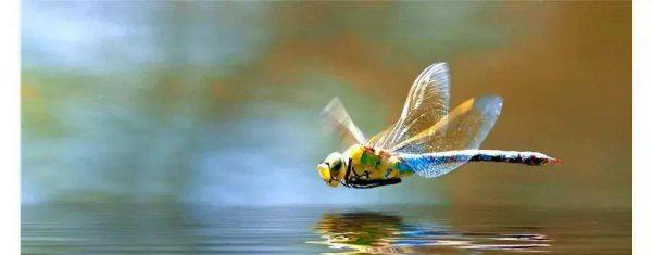 哈耶克最著名的一句话