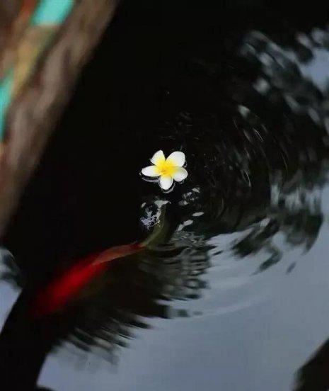 哈耶克最著名的一句话