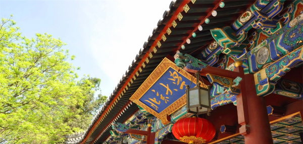 北大和清华有什么区别