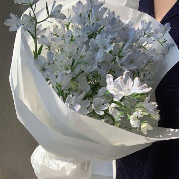 断舍离的精髓句子