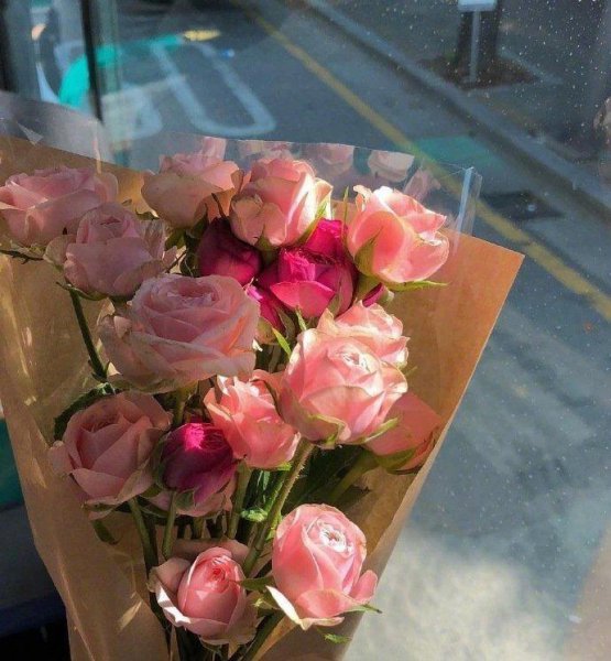 断舍离的精髓句子