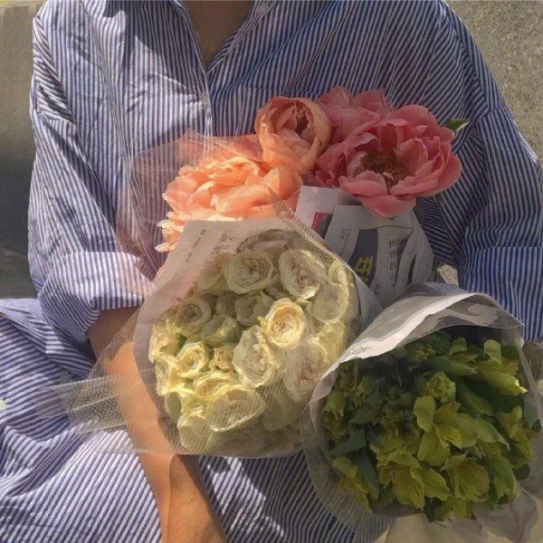 断舍离的精髓句子