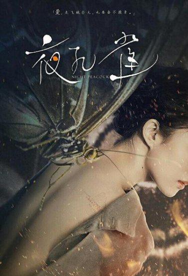 夜孔雀电影到底讲了什么内容