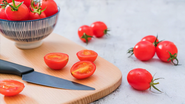 高铁上能带宠物吗