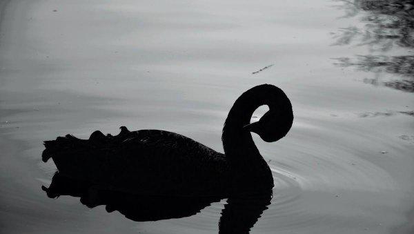 安徽大学在哪个省哪个市