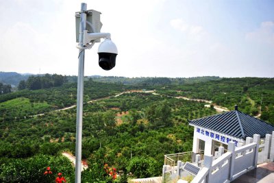 农业管理硕士就业前景 农业专业为什么成为香饽饽