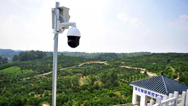 农业管理硕士就业前景