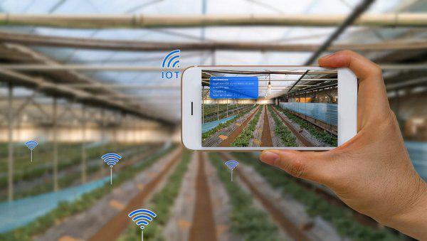 农业管理硕士就业前景