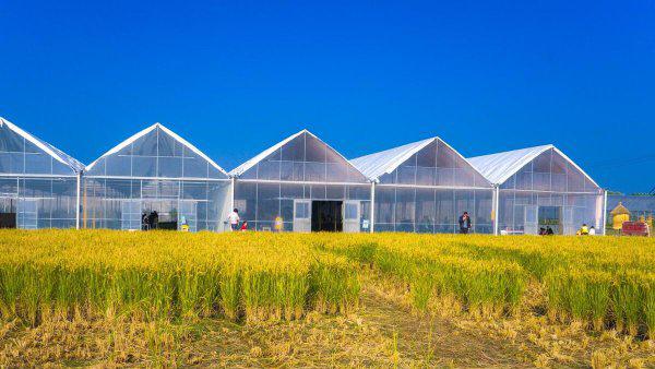 农业管理硕士就业前景