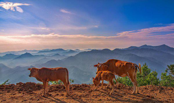 安徽适合自驾游的地方