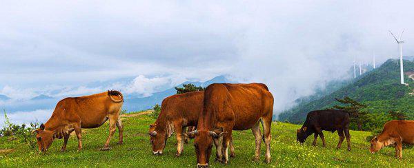 安徽适合自驾游的地方