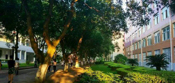 广西最好的职业学校