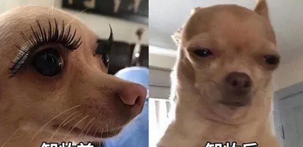 防晒霜用洗面奶洗得干净吗