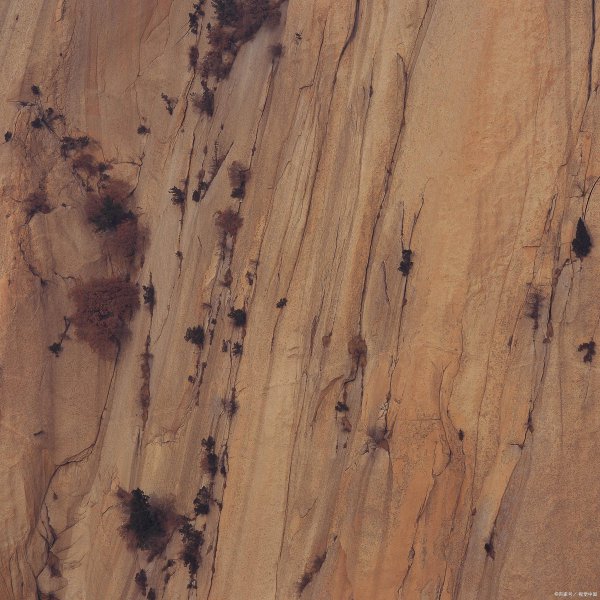奇险天下第一山是哪座山