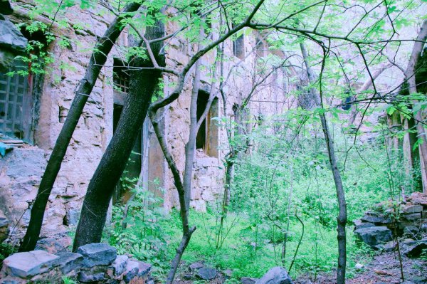 焦作封门村还有人吗