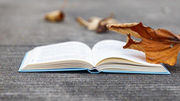 大学生支教需要什么条件